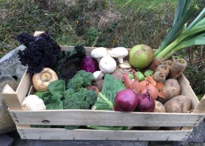 Large box of vegetables