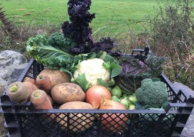 Example of a mini vegetable box