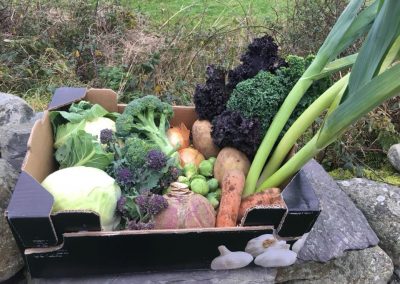 Small box of vegetables